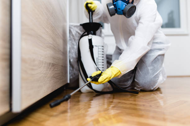 Best Best Pest Control Companies  in Taos, MO