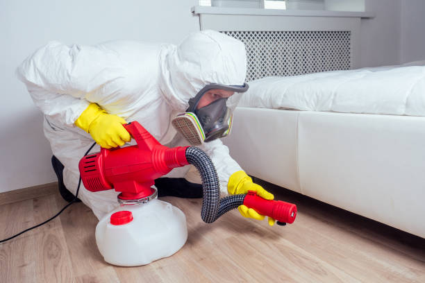 Best Mosquito Control Services  in Taos, MO