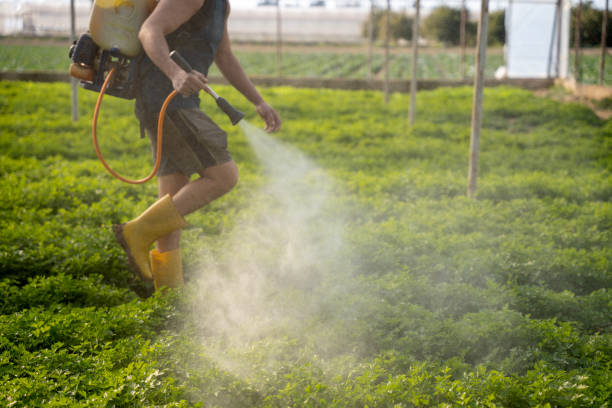 Best Pest Prevention Services  in Taos, MO