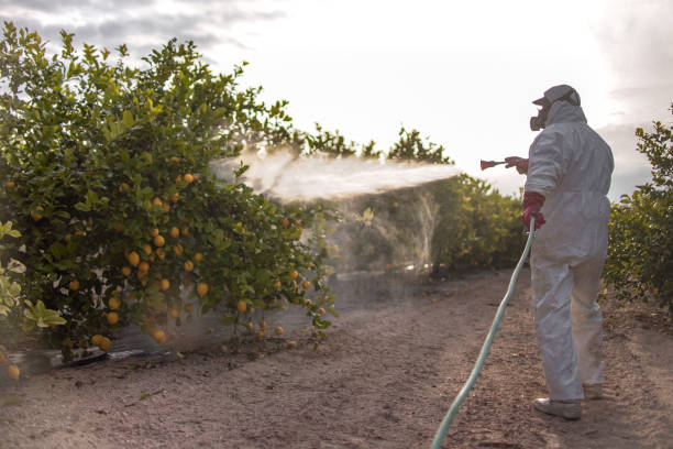 Pest Control Cost in Taos, MO