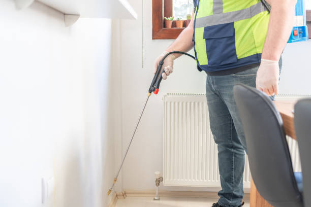 Best Residential Pest Control  in Taos, MO