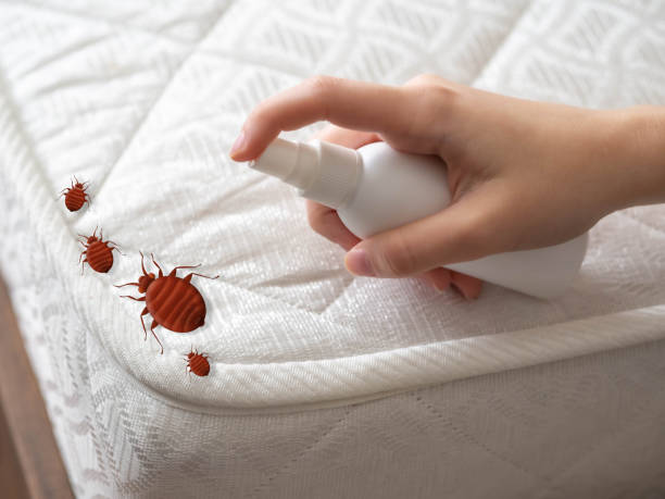 Best Commercial Pest Control Services  in Taos, MO