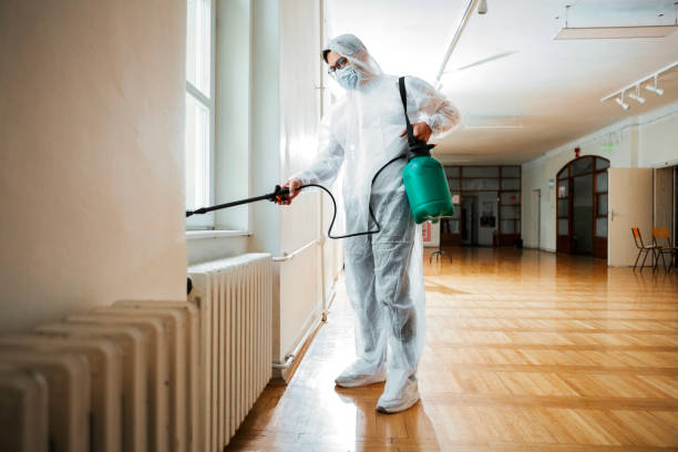 Best Pest Inspection Near Me  in Taos, MO