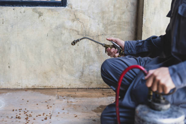 Best Termite Control Services  in Taos, MO
