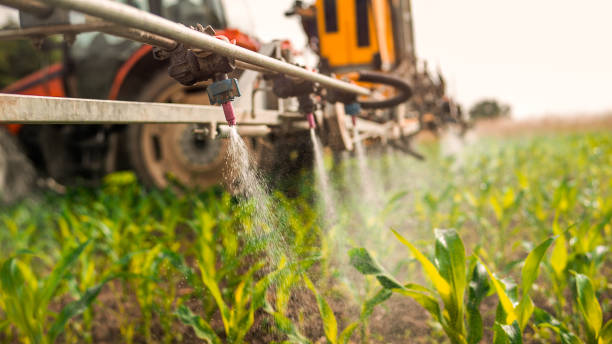 Best Ant Control Services  in Taos, MO