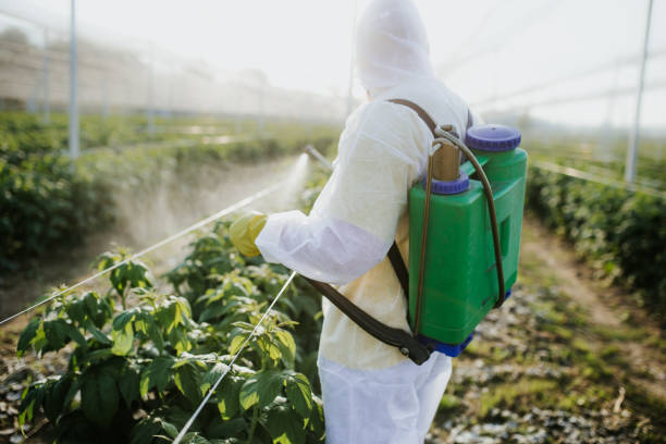 Best Insect Control  in Taos, MO